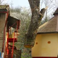 abbattimento con gru 10