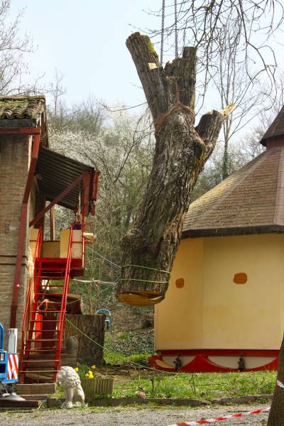 abbattimento con gru 10