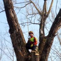 abbattimento con gru 12