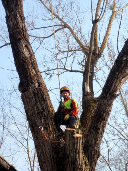 abbattimento con gru 12