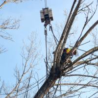 abbattimento con gru 13