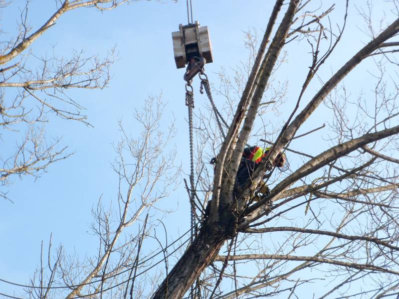 abbattimento con gru 13