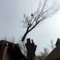 abbattimento con gru 14