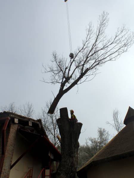 abbattimento con gru 14