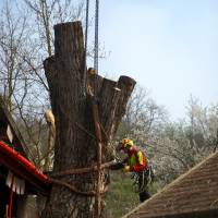 abbattimento con gru 15