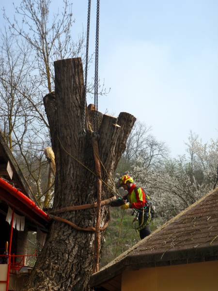 abbattimento con gru 15