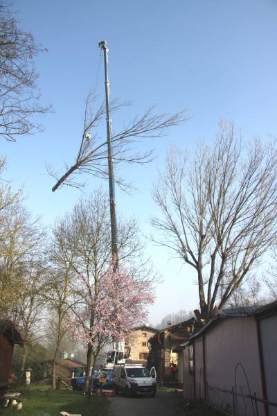 Abbattimento con gru 2