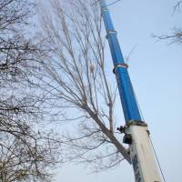 Abbattimento con gru 3