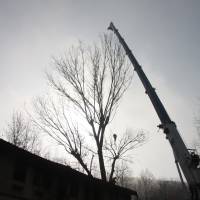 abbattimento con gru 4