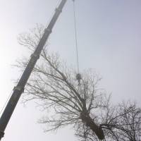 abbattimento con gru 6