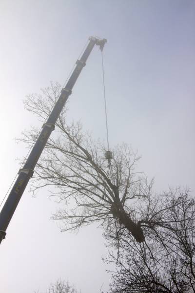 abbattimento con gru 6