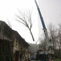 abbattimento con gru 7