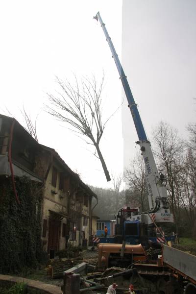 abbattimento con gru 7