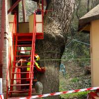 abbattimento con gru 9