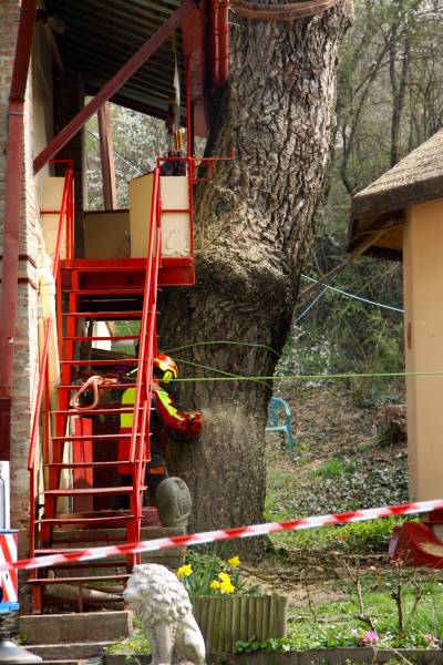 abbattimento con gru 9