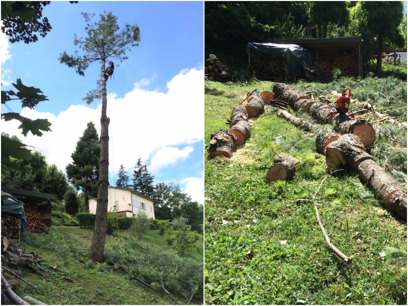 abbattimento3