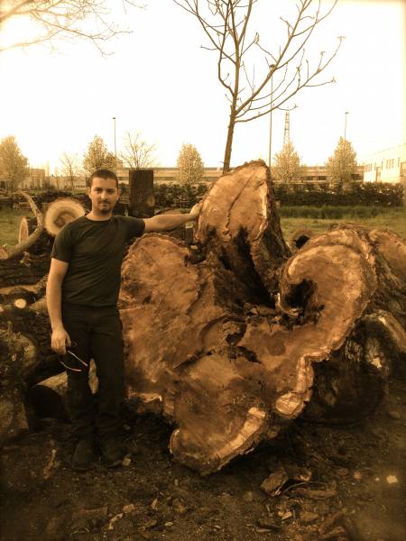 ceppo pioppo calcara