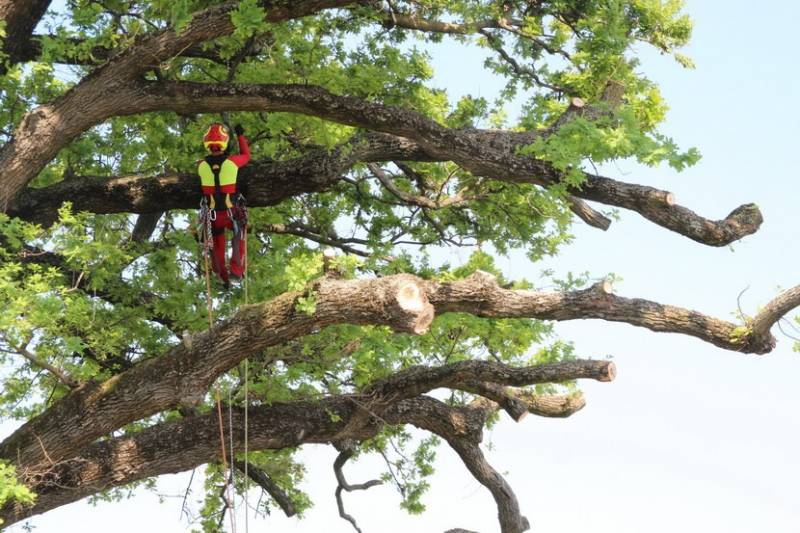 Tutto per la pulizia della casa  ATTREZZATURA PER TREE CLIMBING,  AGRICOLTURA, GIARDINAGGIO a Seggiano - Bernini Agliano